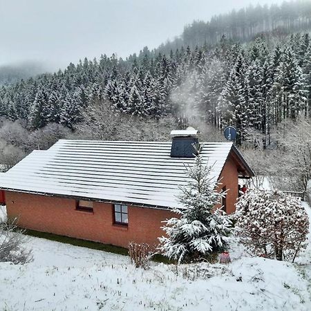 Ferienhaus Becker Willingen  Exterior photo